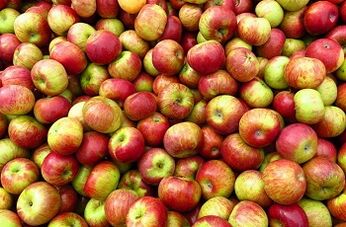 „Apple Diet“ svorio metimui